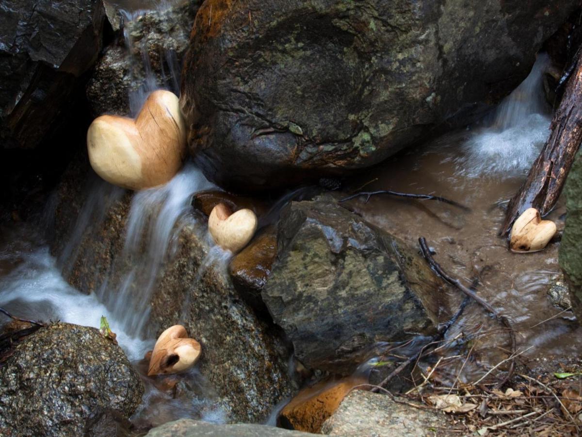 Retreat At Waterfall Valley Paarl Zewnętrze zdjęcie