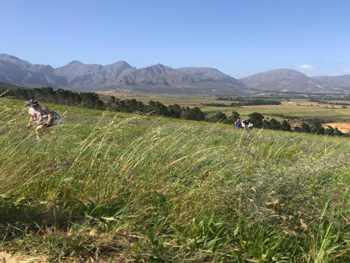Retreat At Waterfall Valley Paarl Zewnętrze zdjęcie